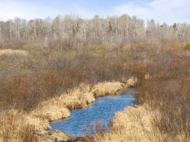 1500 40th Street SW, Pine River, MN 56474