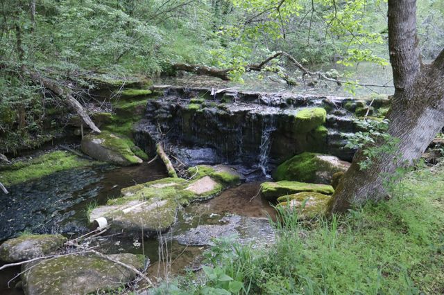 341 Pumpkin Hollow Rd, Liberty, TN 37095
