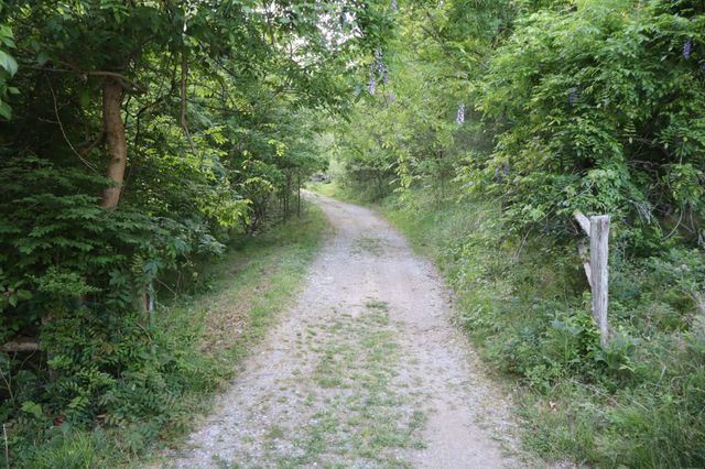 341 Pumpkin Hollow Rd, Liberty, TN 37095