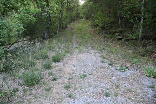 341 Pumpkin Hollow Rd, Liberty, TN 37095