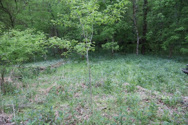 341 Pumpkin Hollow Rd, Liberty, TN 37095