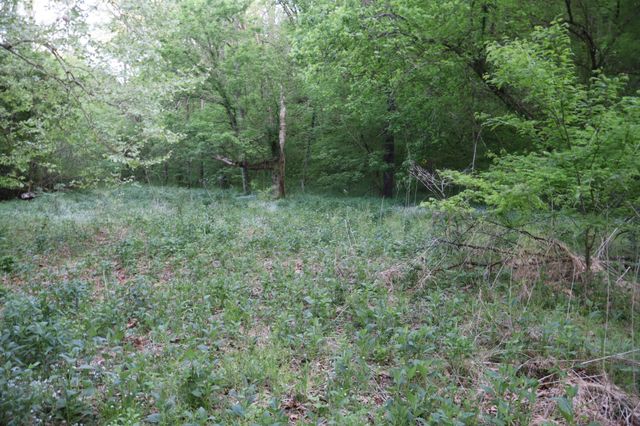 341 Pumpkin Hollow Rd, Liberty, TN 37095