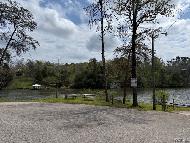 15923 Lake Hills, Northport, AL 35475