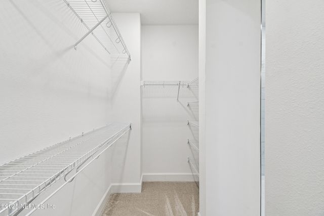 11913 MIRACLE WOODS Way, Jacksonville, FL 32224