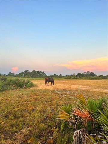 47798 Bermont RD, Punta Gorda, FL 33982