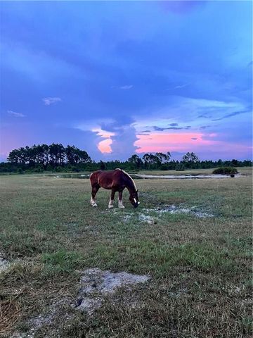 47798 Bermont RD, Punta Gorda, FL 33982