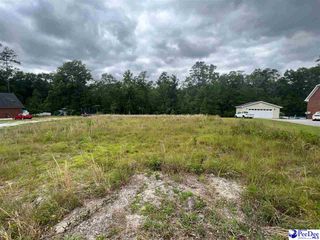 TBD Wildshall, Darlington, SC 29532
