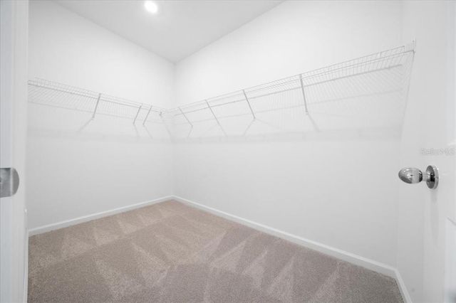 6596 SW 89TH LANE, Ocala, FL 34476