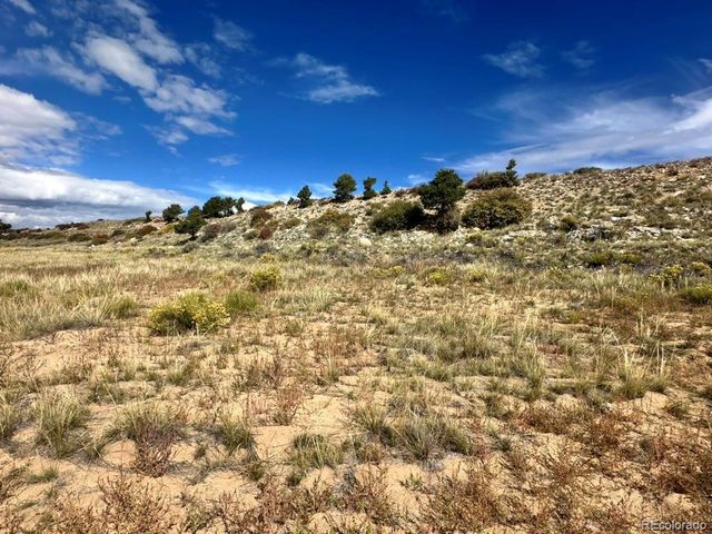 24266 River Rock Ln, Buena Vista, CO 81211