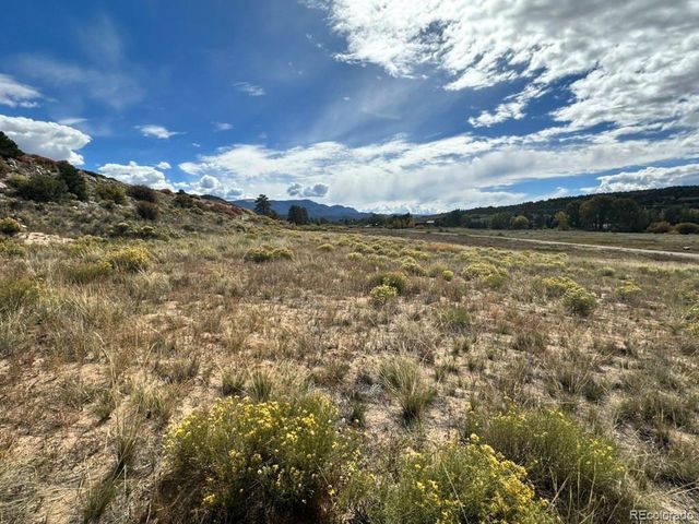 24266 River Rock Ln, Buena Vista, CO 81211