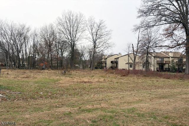 8 Reasoner Ln, Flemington Boro, NJ 08822