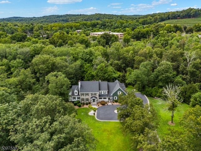 58 Brook Dr, Harding Twp., NJ 07960