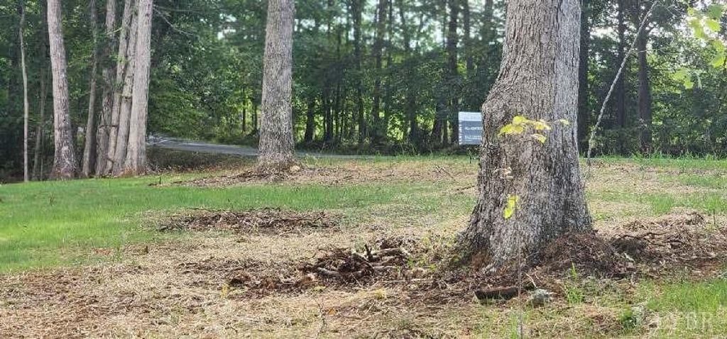 0 Buccaneer Road, Moneta, VA 24121