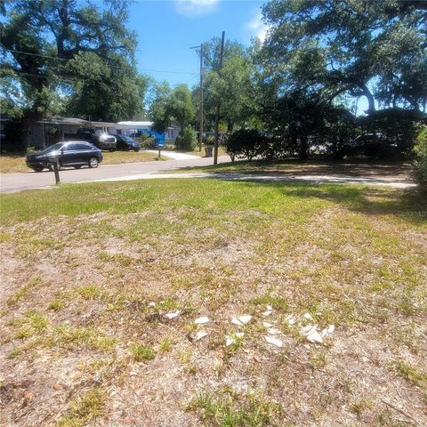 7503 CORAL VINE LANE, Tampa, FL 33619