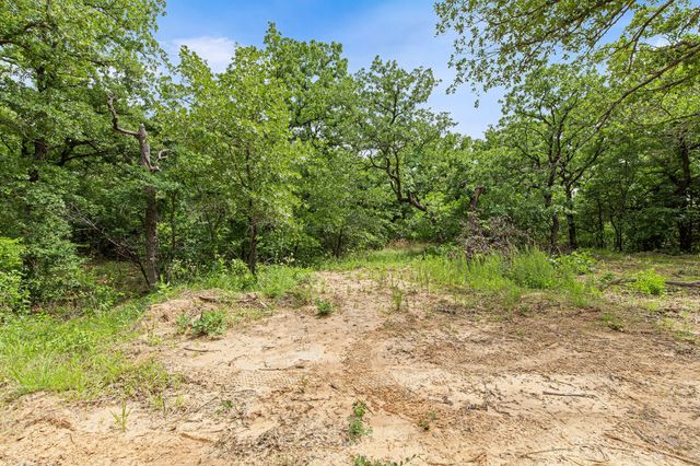 Lot 3 Private Road 3204, Bridgeport, TX 76426