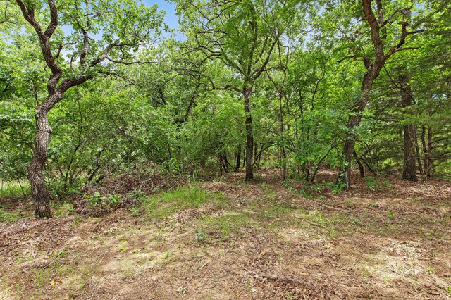 Lot 3 Private Road 3204, Bridgeport, TX 76426