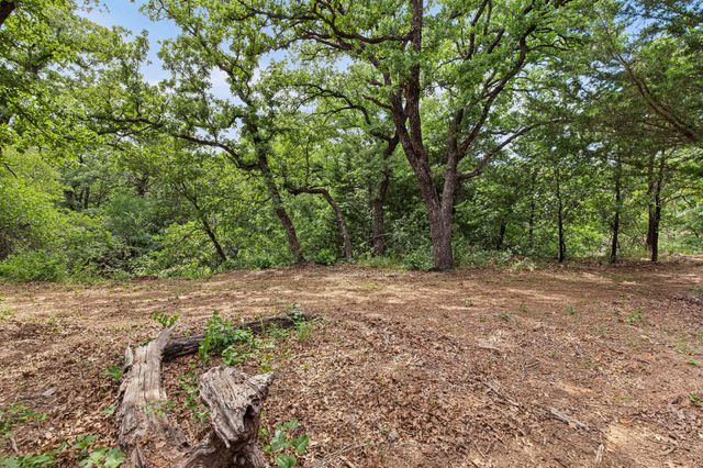 Lot 3 Private Road 3204, Bridgeport, TX 76426