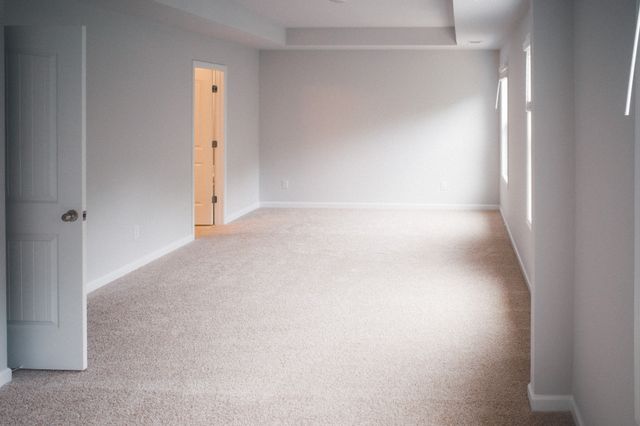 4231 Grapevine Loop, Smyrna, TN 37167