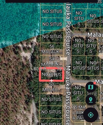 MALAUKA PASS CRSE, Ocklawaha, FL 32179