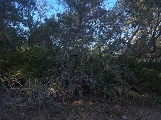 MALAUKA PASS CRSE, Ocklawaha, FL 32179