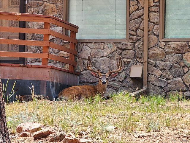 107 Ox Yoke Lane, Bailey, CO 80421