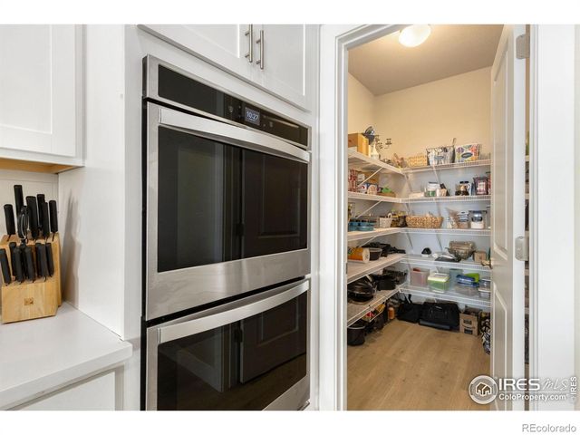 1726 Bounty Drive, Windsor, CO 80550