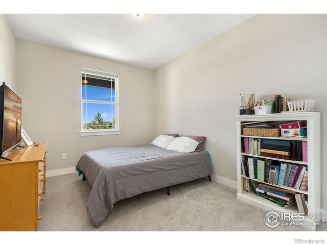 1726 Bounty Drive, Windsor, CO 80550