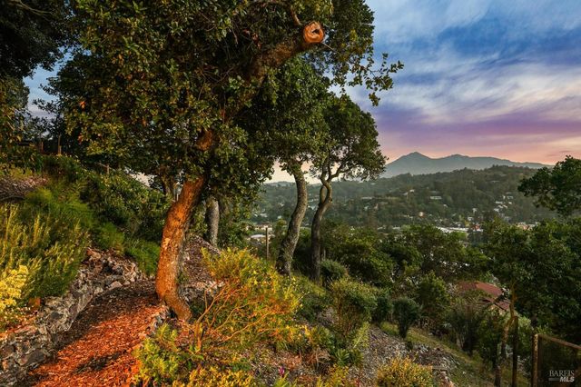 180 El Cerrito Ave, San Rafael, CA 94901