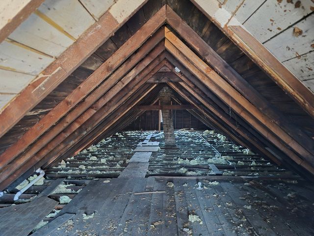 5535 S Bishop Street, Chicago, IL 60636