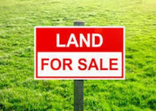 707 N Monticello Avenue, Chicago, IL 60624