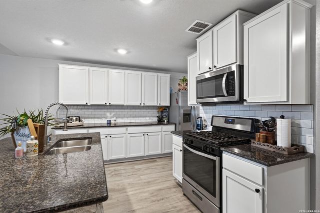 14828 FRONTED GOOSE, San Antonio, TX 78253