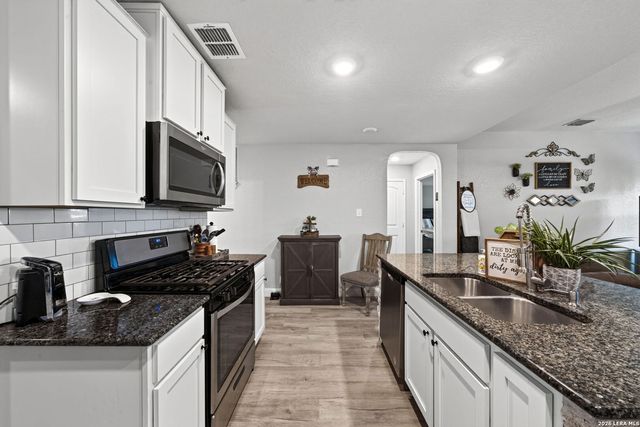 14828 FRONTED GOOSE, San Antonio, TX 78253