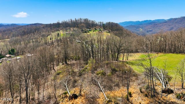 486 Cloud High Road, Duffield, VA 24244