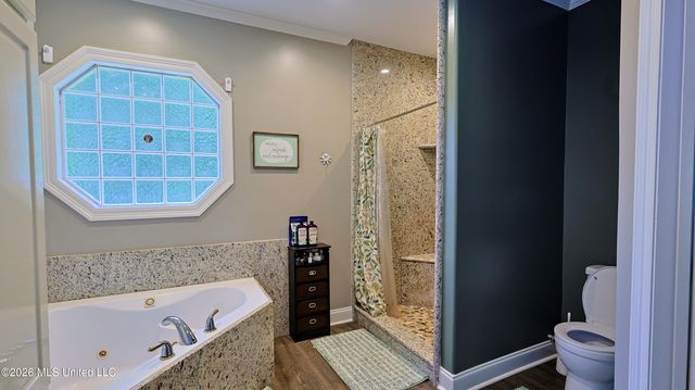 73 Dianne Cove, Byram, MS 39272