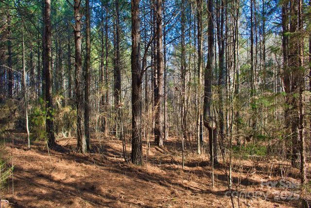 0 Clearwater Parkway 209, Rutherfordton, NC 28139