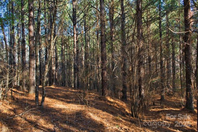 0 Clearwater Parkway 209, Rutherfordton, NC 28139