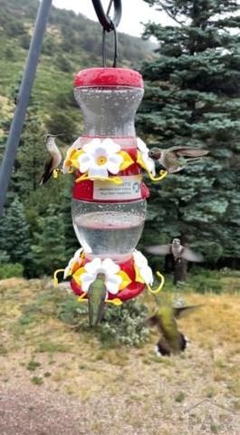 6813 Highway 160, La Veta, CO 81055