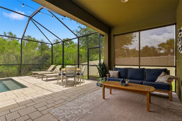 27035 CAROLINA ASTER DRIVE, Wesley Chapel, FL 33544