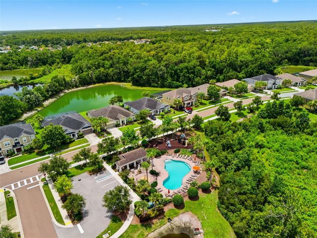 27035 CAROLINA ASTER DRIVE, Wesley Chapel, FL 33544