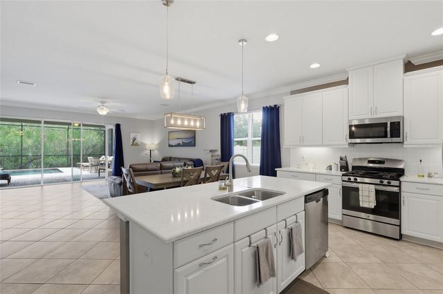27035 CAROLINA ASTER DRIVE, Wesley Chapel, FL 33544