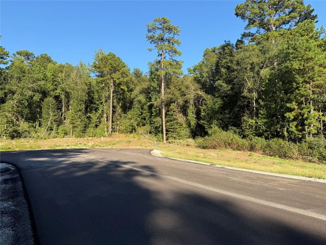 236 Hollow Hill Drive, Huntsville, TX 77358