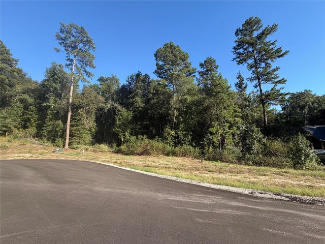 236 Hollow Hill Drive, Huntsville, TX 77358