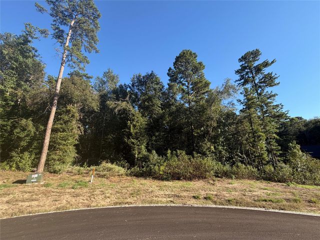 236 Hollow Hill Drive, Huntsville, TX 77358