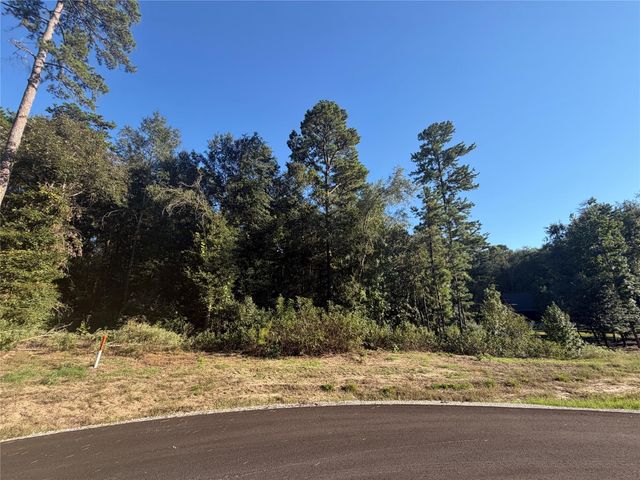 236 Hollow Hill Drive, Huntsville, TX 77358