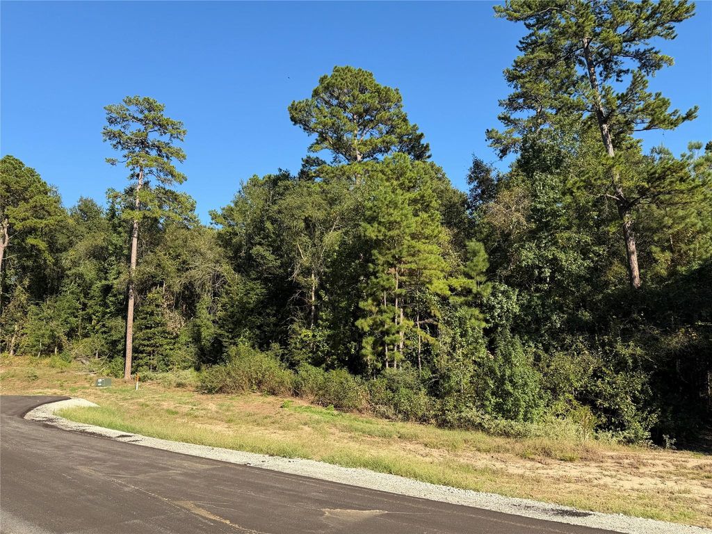 236 Hollow Hill Drive, Huntsville, TX 77358