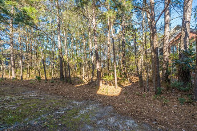 1476 Belcourt Lane, Mount Pleasant, SC 29466