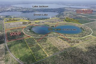 1123 Basket Lake Road, Avon Park, FL 33825