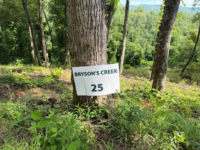 Lot 25 Bryson Creek, Murphy, NC 28906