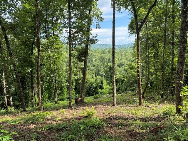 Lot 25 Bryson Creek, Murphy, NC 28906