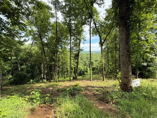 Lot 25 Bryson Creek, Murphy, NC 28906